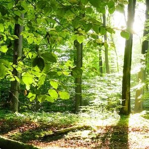 Meet your Posher, Vicki-lee